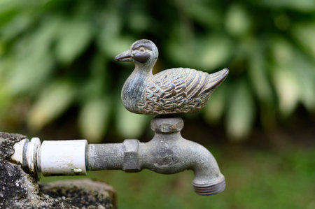 Close up view of a decorative vintage water faucet in a home's garden, made out of brass in the shape of a Duck.の写真素材