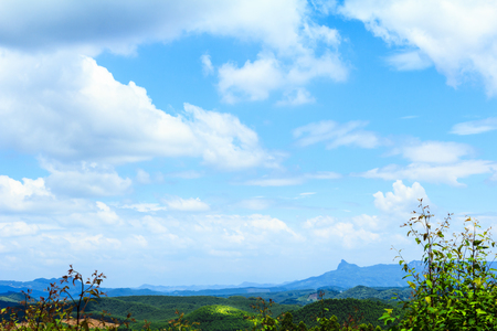 Beautiful country fields, blue sky and white clouds in summerの写真素材