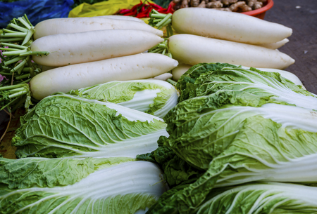 Cabbage and white radish in the vegetable marketの写真素材