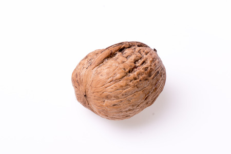 Fresh walnut isolated on the white backgroundの写真素材