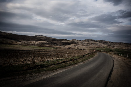 Asphalt country road with trees and beautiful skyの写真素材