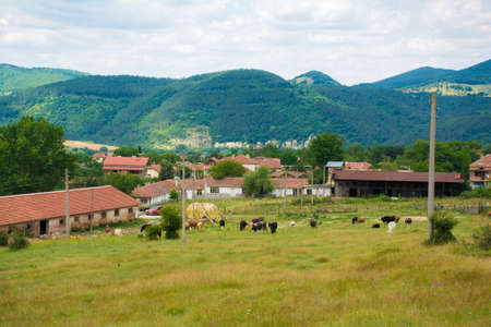 Beautiful view of idyllic mountain scenery in Bulgaria with green meadows in the background on a sunny day with blue sky and clouds in autumn.の写真素材