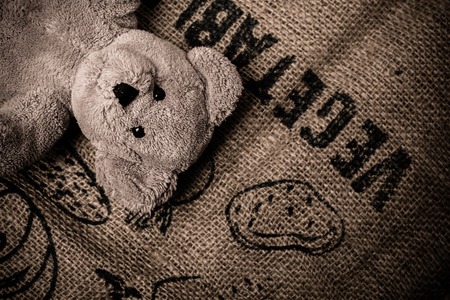 Teddy bear rests on burlap labeled vegetablesの写真素材