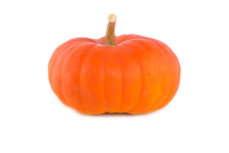 Pumpkinの写真素材