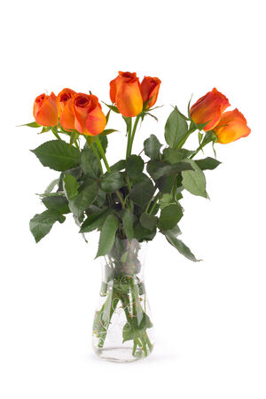 Rose flowersの写真素材