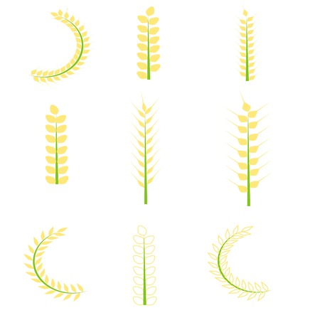 Rice icons set vectorのイラスト素材