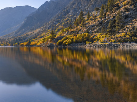 Amazing reflection of pines and colorful yellow aspens in Lundy Lake, natural reservoir in the...