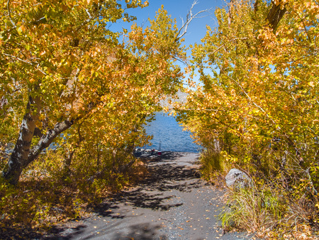 Narrow sandy path to a mountain lake surrounded by yellow trees in peak fall colors on a sunny day. Fishing equipment is seen on the shore with colorful blue water of Convict Lake in the background.の写真素材