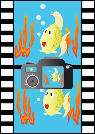Camera and film on which the fish photographed in their habitat.のイラスト素材