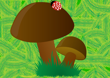 The green background of pine branches which depicts the mushroomsのイラスト素材