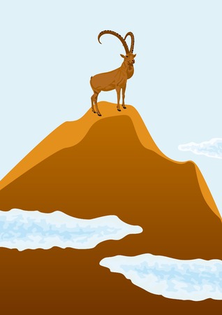 Mountain goat standing on top of a mountain, beneath drifting clouds.のイラスト素材