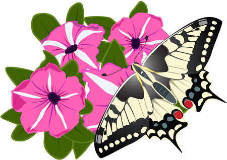 On a bouquet of flowers sitting two butterfliesのイラスト素材