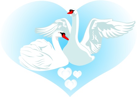 Two white swans on a background of abstract images of the heartのイラスト素材