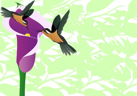 A little bird-drinking nectar from flowersのイラスト素材