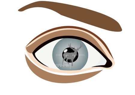 The human eye in the pupil which reflects net optical sight and a deer.のイラスト素材