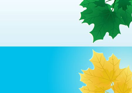 Seasons. Yellow and green maple leaves.のイラスト素材