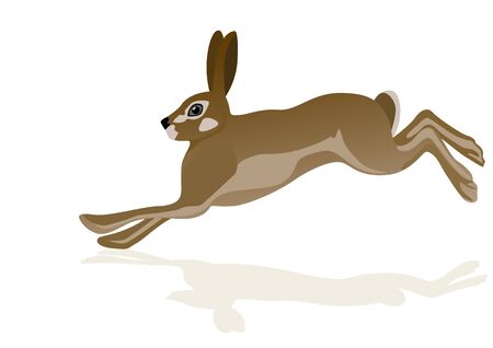 Running hare. The illustration on white background.のイラスト素材