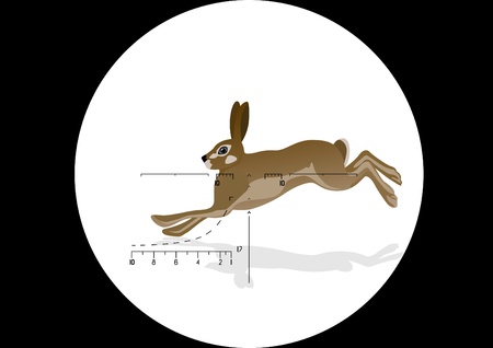 Running hare in the grid optical sight hunting riflesのイラスト素材