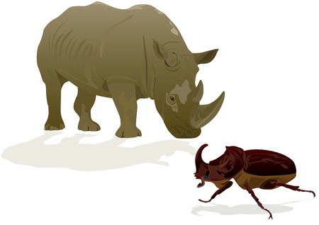 Illustration depicting a rhinoceros and rhino beetle on white backgroundのイラスト素材
