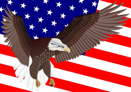Flying eagle on a background the Stars and Stripes USA.のイラスト素材