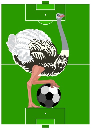 Ostrich with a soccer ball against the background of a football field.のイラスト素材
