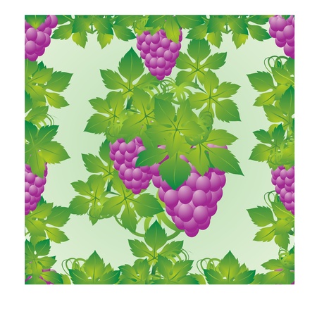 The leaves and grapes on a green backgroundのイラスト素材