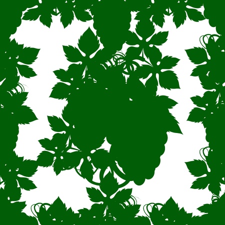 The contour of the leaves and fruit of grapes on a white backgroundのイラスト素材