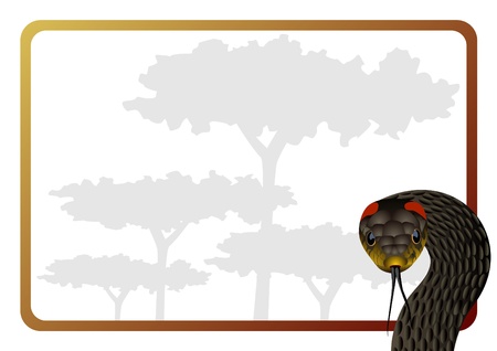 Venomous snake in the background frame with treesのイラスト素材