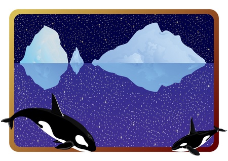 シャチの写真素材 イラスト素材 ストックフォトのamanaimages Plus