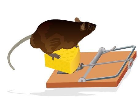 The rat sits on the cheese. Mousetrap for the destruction of rodents.のイラスト素材