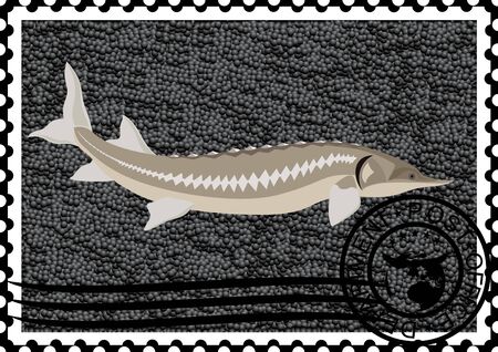 The illustration on a postage stamp  Sturgeon and caviarのイラスト素材