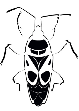 Contour image of the beetle. The illustration on a white background.のイラスト素材