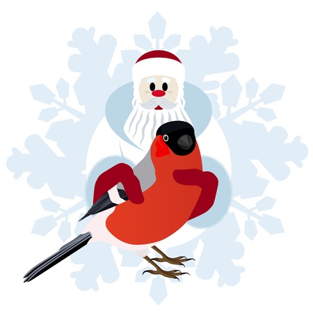 Bullfinch in the hands of Santa Claus on a background of abstract snowflakes  The illustration on a white background のイラスト素材