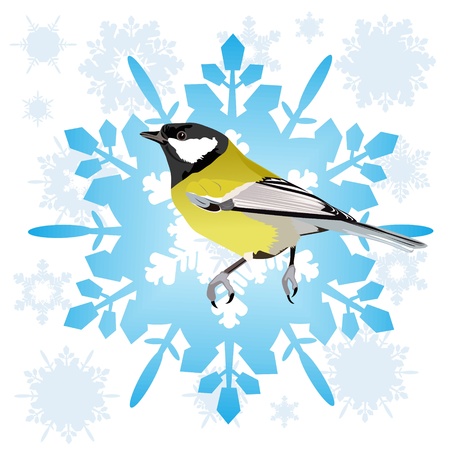 Tit sitting on the abstract snowflake  Illustration on white background のイラスト素材