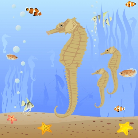 Marine life. Seahorses swim in the sea.のイラスト素材