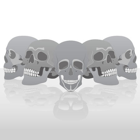 A number of human skulls  Illustration on white background のイラスト素材
