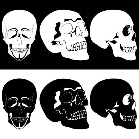 Several black and white human skulls. Illustration on black and white background.のイラスト素材