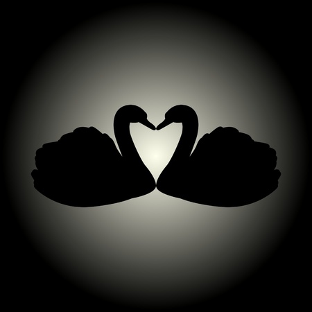 Two black swans. Illustration on black background.のイラスト素材