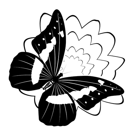 Abstract illustration of a butterfly on a flower background  Black-and-white illustration のイラスト素材