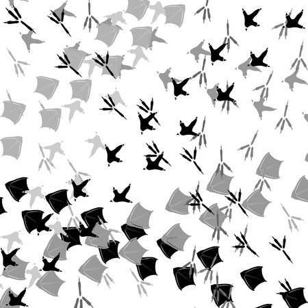 Footprints of birds  The illustration on a white background のイラスト素材