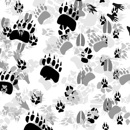 Footprints of animals  The illustration on a white background のイラスト素材