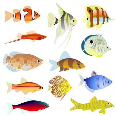 Set of aquarium fishのイラスト素材