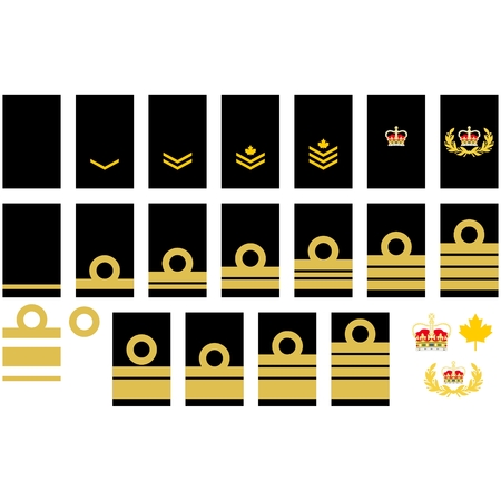 Military ranks and insignia of the world. Illustration on white background.のイラスト素材