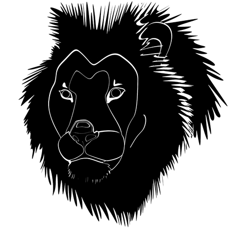 Contour abstract lion head. The illustration on a white backgroundのイラスト素材