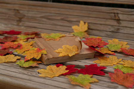 Old and classic book on a wooden bench covered by fallen colored tree leaves on an autumn dayの写真素材