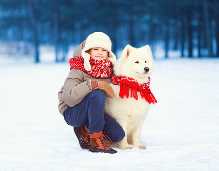 Happy smiling child boy is walking with white Samoyed dog in winter dayの写真素材