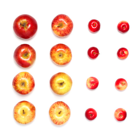 many different red apples fruits in a row isolated on a white backgroundの写真素材