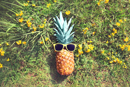 Fashion pineapple in a sunglasses on the grass background, top viewの写真素材
