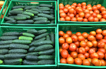 Many red tomatoes and cucumbers in a boxesの写真素材