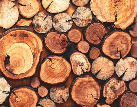 Wooden natural sawn a logs closeup, texture or background, top view, flat lay photoの写真素材